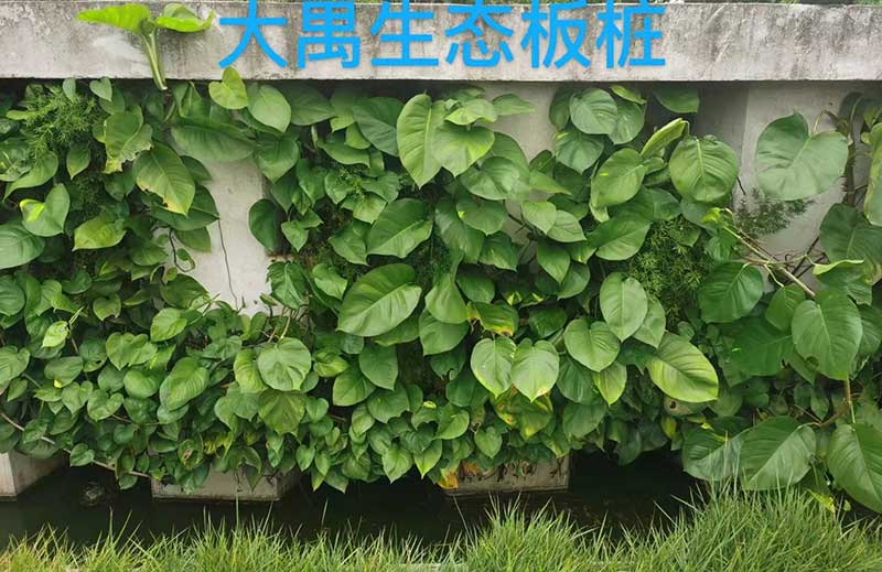 生態Ｕ型板樁