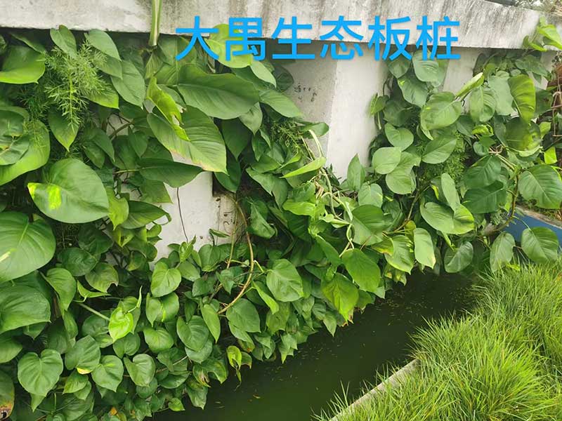 生態Ｕ型板樁